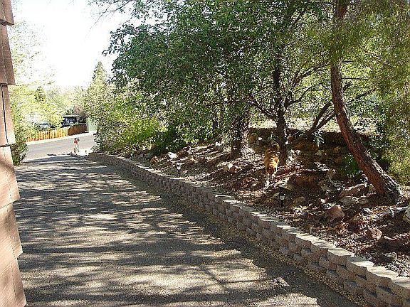 Driveway in summer