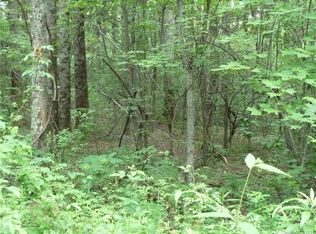 8 & 9 N Pointe Dr #10, Zirconia, NC 28790