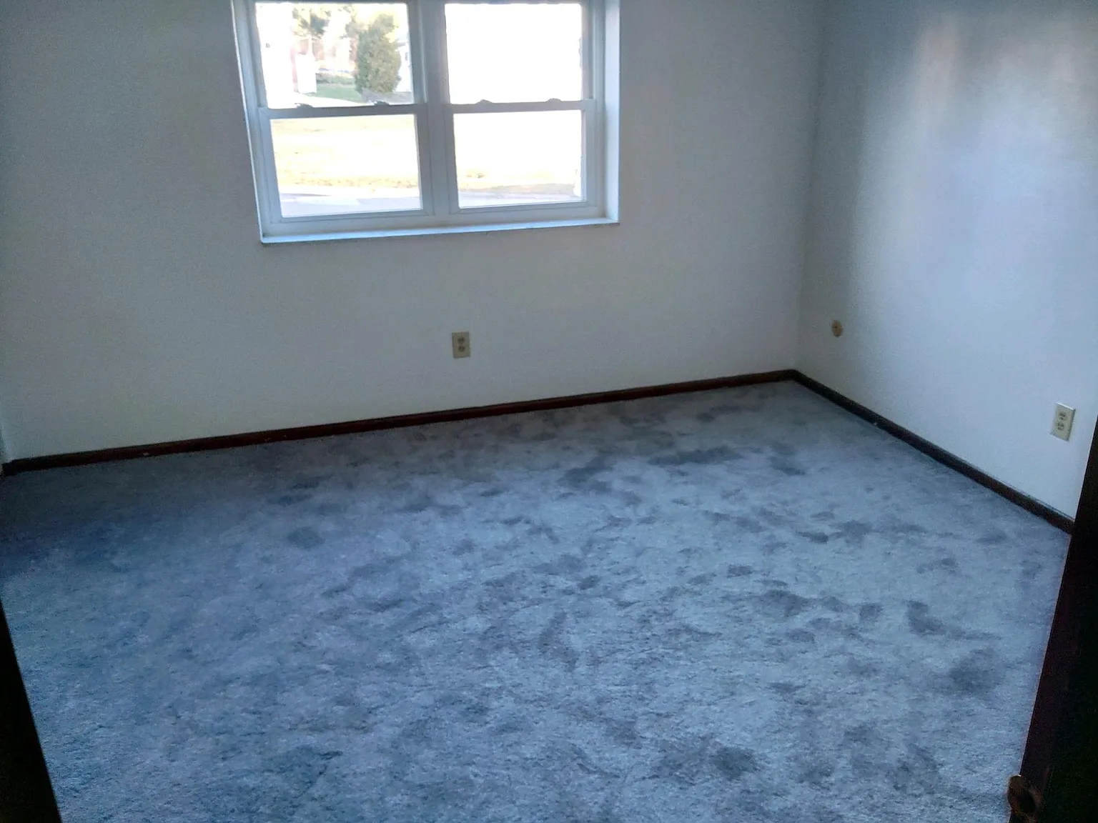 1 bed, 800 sqft, $950 — Photo 3