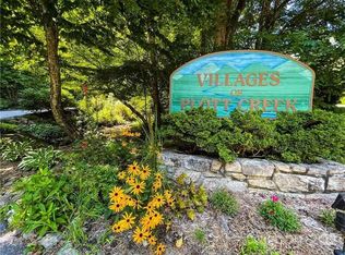 820 Chestnut Flats Ln, Waynesville, NC 28786