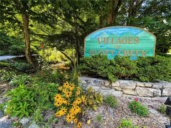 820 Chestnut Flats Ln, Waynesville, NC 28786