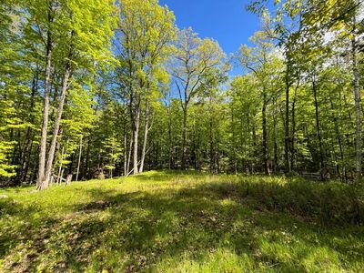 Old Elcho Rd LOT 9 & 10, Pelican Lake, WI, 54463