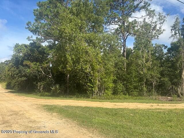 2nd image of 1512 N Timbercrest Way