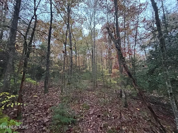 Graveyard Rd #E/o, Jamestown, TN 38556