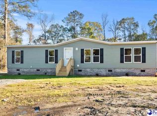 3525 Ballpark Rd, Effingham, SC 29541