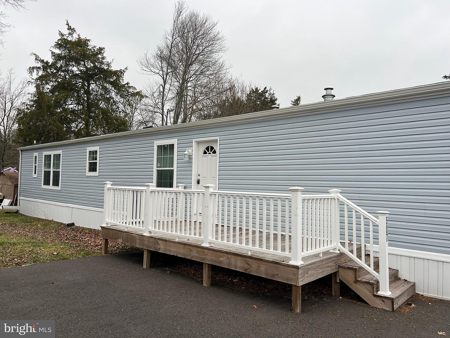 メイプルです。 Find Japanese Maple Trees Near You | Hanselman Nursery In