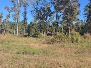 TRACT Two Gaff Rd #C, Magnolia, TX 77355