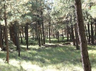 2573 Ryan Ranch Loop, Forest Lakes, AZ 85931