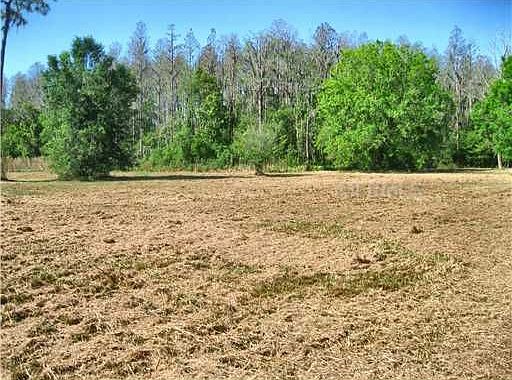 4th image of 7916 Lady Lake Ln
