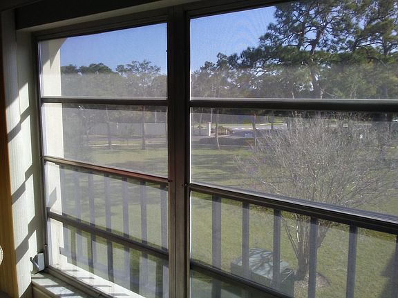 View from Family Room