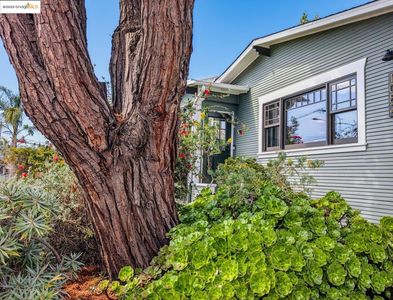 1082 65th St, Oakland, CA, 94608