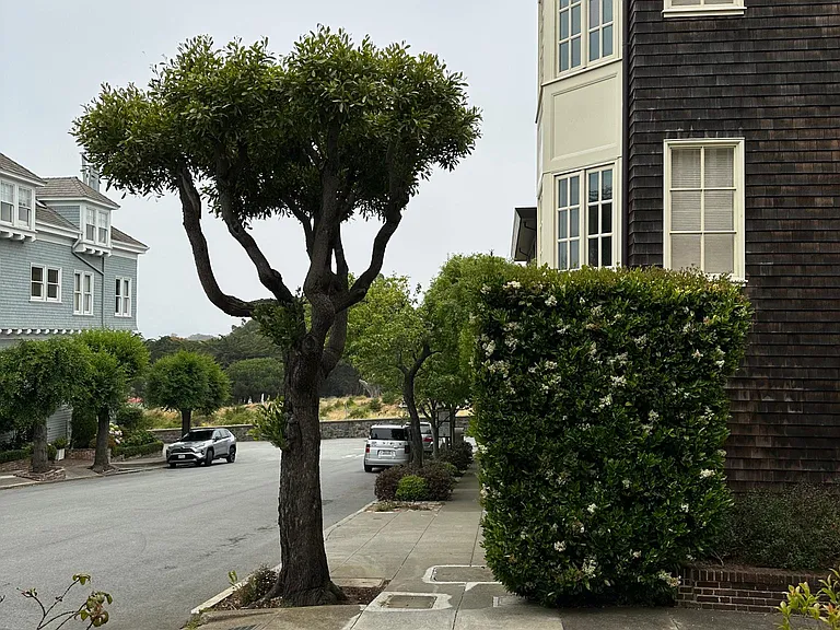 22 Laurel St — Photo 16