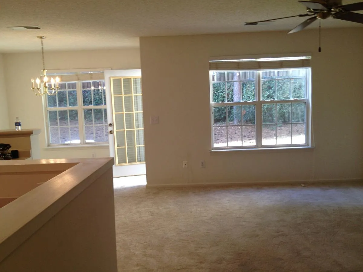 11537 Delores Ferguson Lane — Photo 2