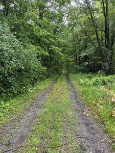 9161 Robinson Rd, Chardon, OH, 44024