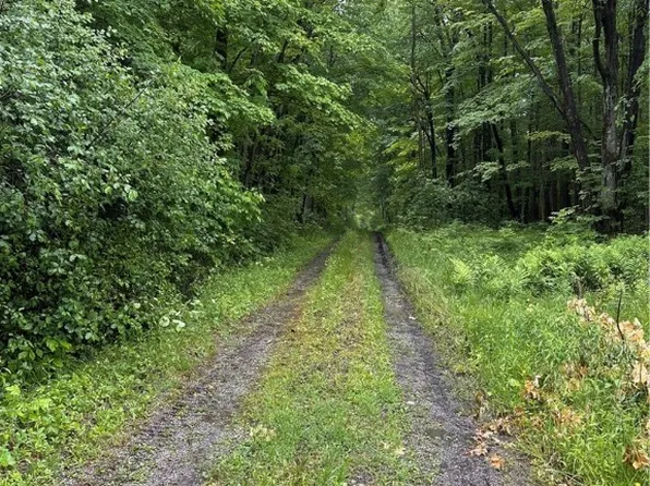 9161 Robinson Rd, Chardon, OH 44024