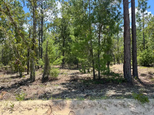(undisclosed Address), Interlachen, FL 32148