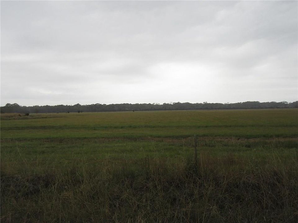 2nd image of Birdnest Rd