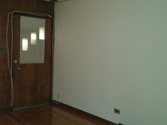 Living room hardwood door