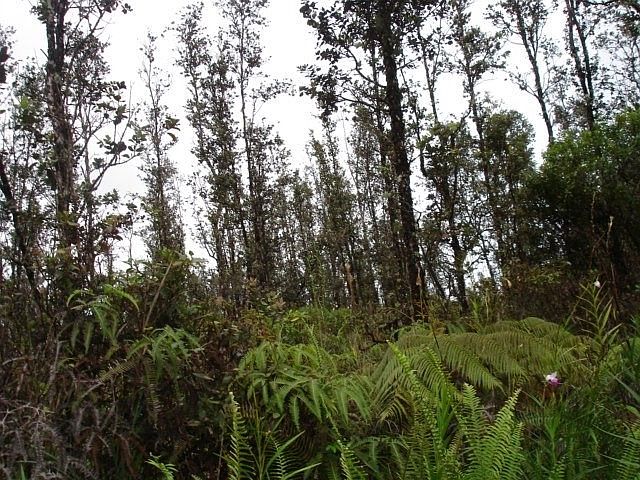 1st image of Road 7 Opeapea Lot 4701
