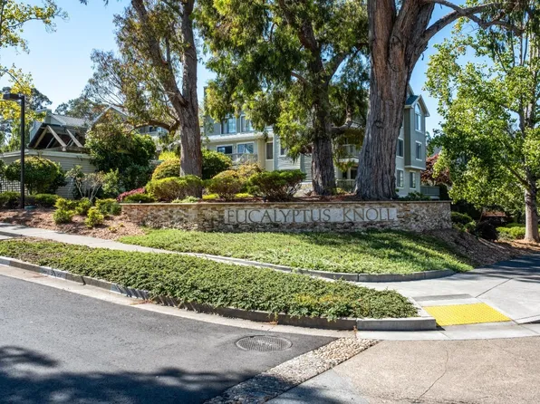 75 Eucalyptus Knoll Street, Mill Valley, CA 94941