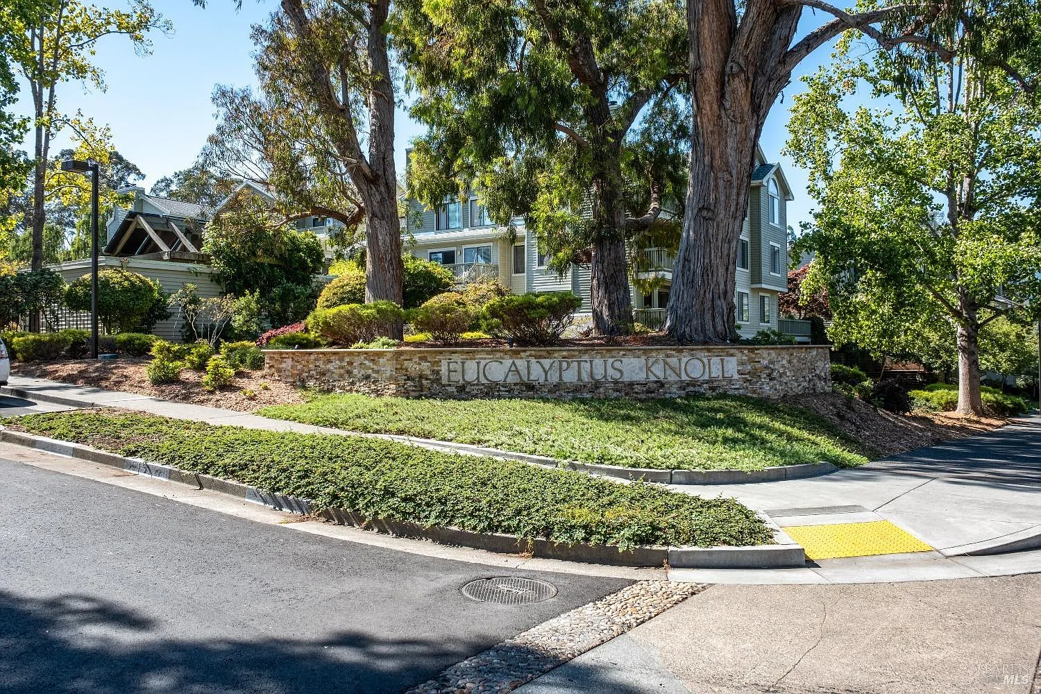 75 Eucalyptus Knoll Street photo 1