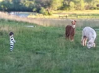 856 C Rd, Palmyra, NE 68418