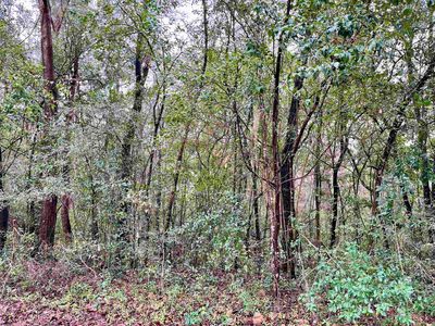James Duhard Way, Tallahassee, FL, 32308