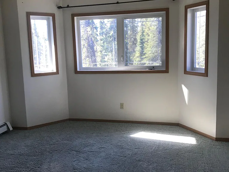 980 Gold Flake Ave — Photo 6