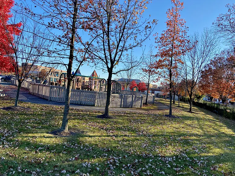 park across the street