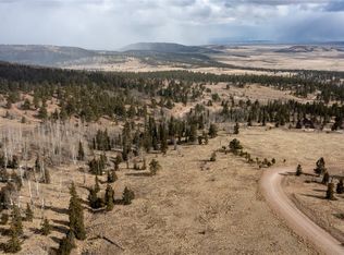 161 Kaufman Rd, Hartsel, CO 80449