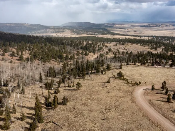 161 Kaufman Rd, Hartsel, CO 80449