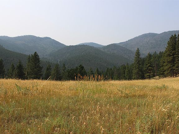 4th image of 2050 Colorado Gulch Dr