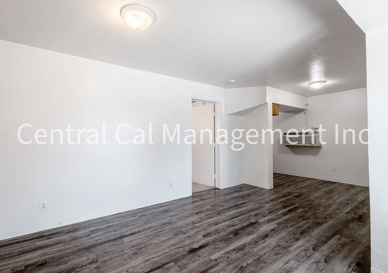 2334 Dracena St — Photo 3