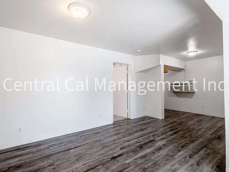 2334 Dracena St — Photo 3