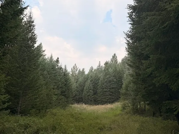 47466 Harmony Ln, Proctor, MT 59929