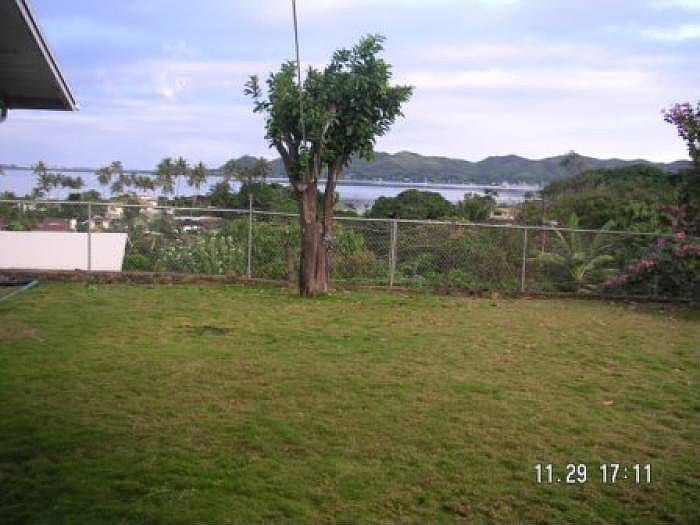 yard view
