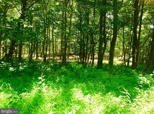 LOT 17 Falcon Vw, Capon Bridge, WV 26711