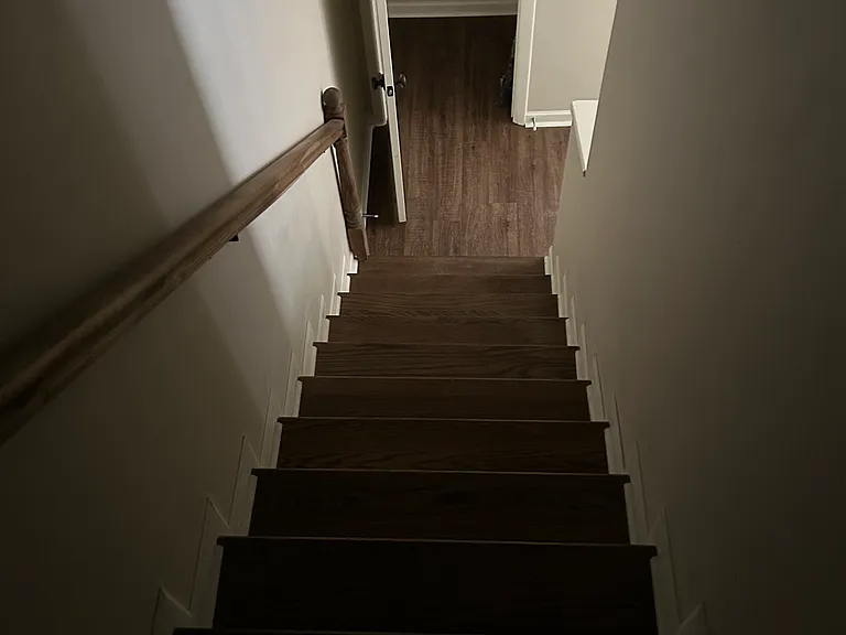 Stairway (Going Down) with pic of Coat/Storage Closet on Main at Bottom of Stairway