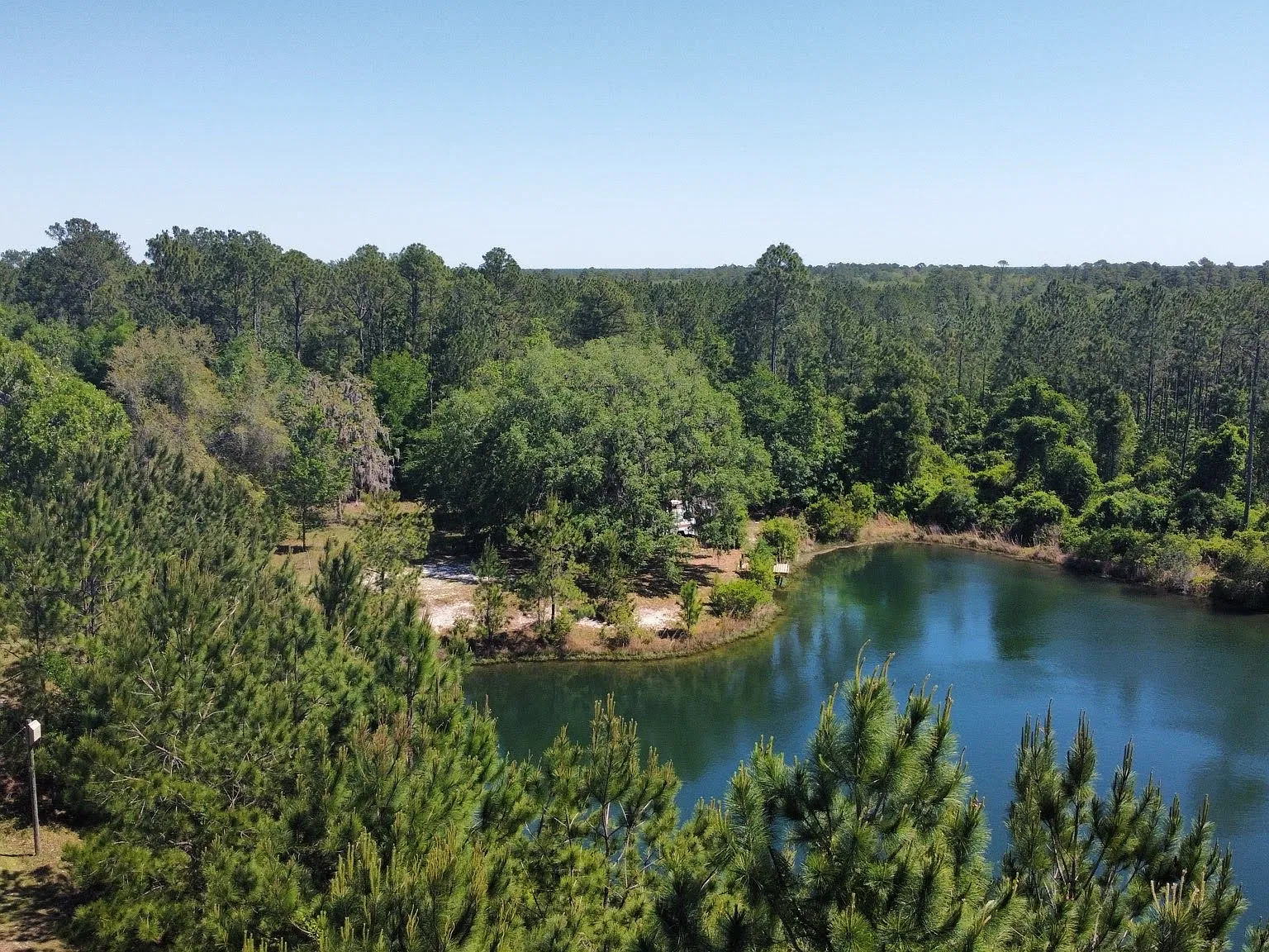 1 bed, $650 — Photo 4