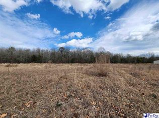 2338 Treasure Cv, Latta, SC 29565