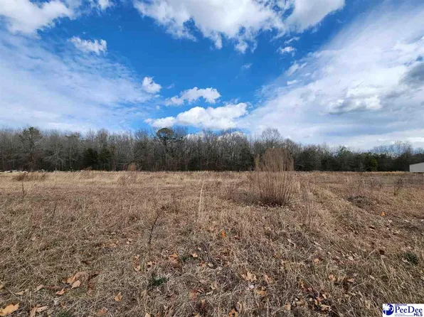 2338 Treasure Cv, Latta, SC 29565