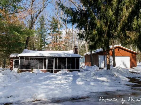 10574 N Turner Rd, Irons, MI 49644