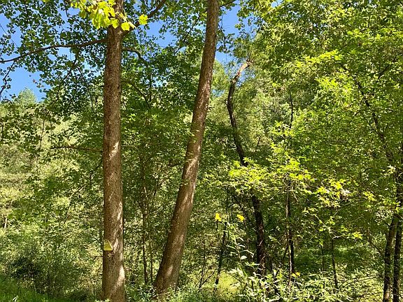 5th image of 0 Branch Of Little Elk Creek Rd