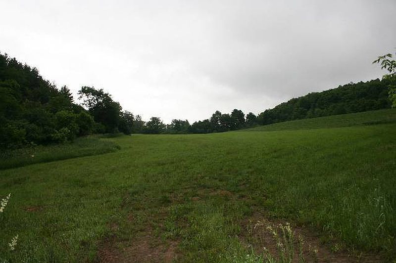 3rd image of 0 MCNEIL Road