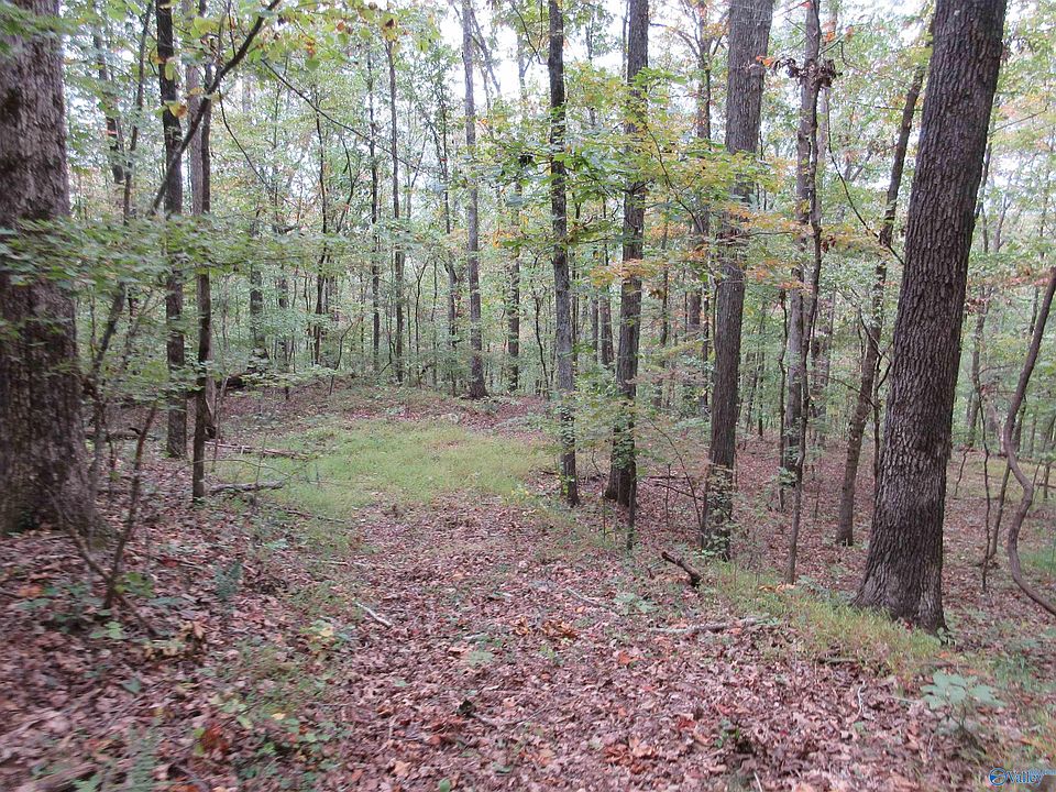 1958 County Road 158, Stevenson, AL 35772 MLS 21847352 Zillow