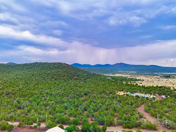 23 County Road 3117, Vernon, AZ 85940