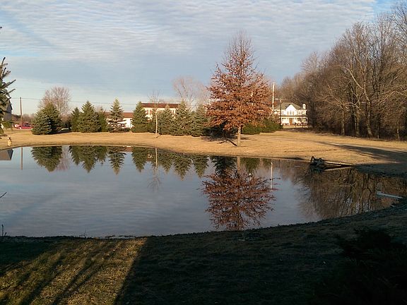 Pond view from front porch