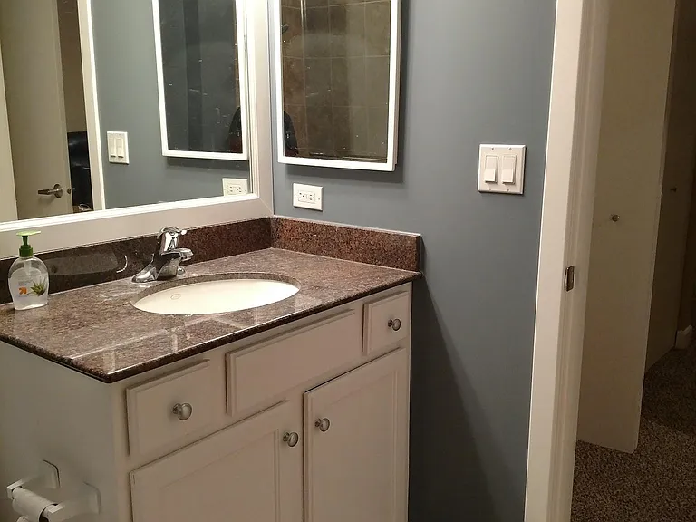 1305 S Michigan Ave #1506 — Photo 10