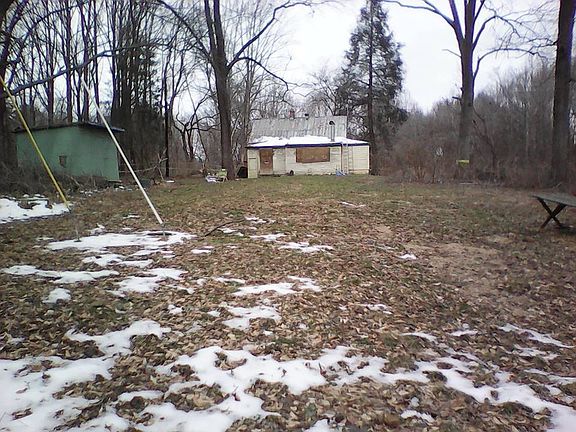 Backyard at property line