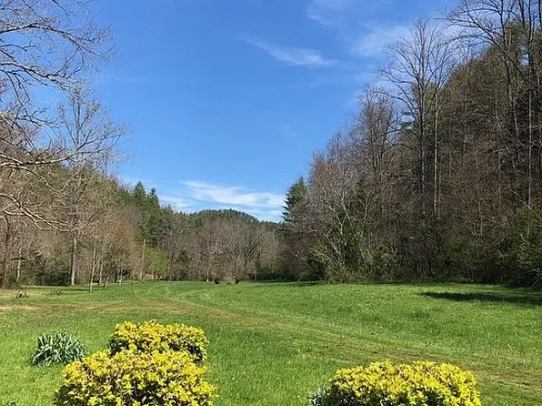 175 Fletcher Dr, Reliance, TN 37369